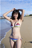 夏之光