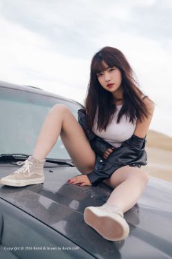 宠物情人