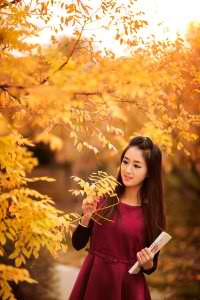 两个人换娶妻对感情的影响
